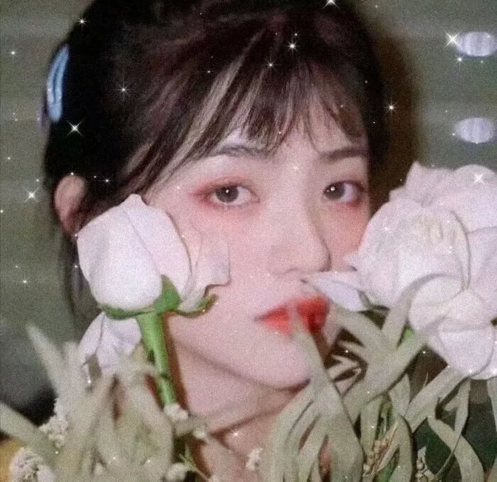 加油!同期酱